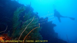 Colombie mardi 30 avril 2019 10:06:28 