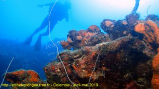 Colombie mardi 30 avril 2019 10:07:39 