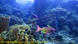 Colombie mardi 30 avril 2019 10:28:37 