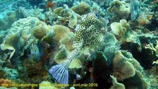 Colombie mardi 30 avril 2019 10:33:36 
