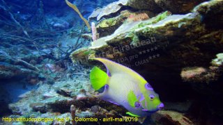 Colombie mardi 30 avril 2019 12:10:26 