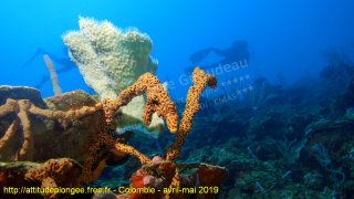 Colombie mardi 30 avril 2019 12:19:48 
