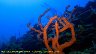 Colombie mardi 30 avril 2019 12:20:30 