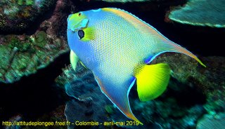 Colombie mardi 30 avril 2019 12:12:25 