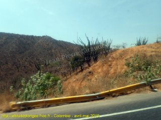 Colombie mercredi 1 mai 2019 12:49:10 