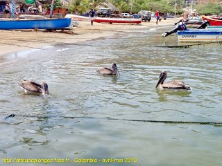 Colombie jeudi 2 mai 2019 08:25:27 