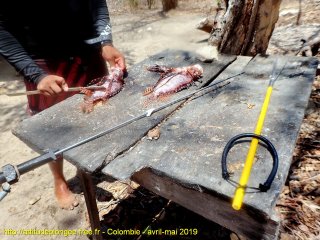 Colombie jeudi 2 mai 2019 11:39:26 