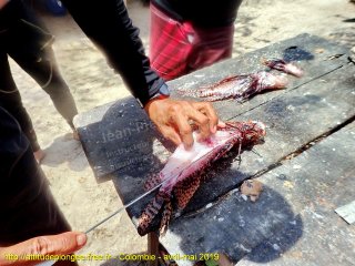 Colombie jeudi 2 mai 2019 11:44:22 