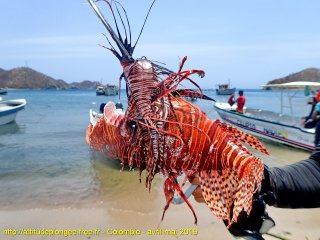 Colombie dimanche 5 mai 2019 11:24:09 