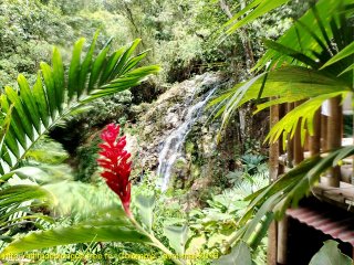 Colombie lundi 6 mai 2019 11:11:20 