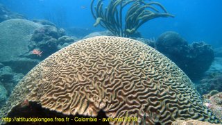 web-dsc01661