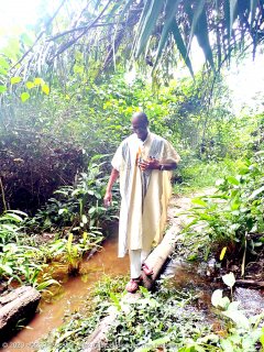 Côte d'Ivoire vendredi 7 août 2020 09:55:45 