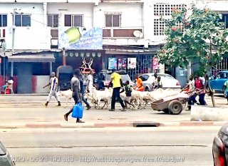 Côte d'Ivoire jeudi 30 juillet 2020 09:32:23 