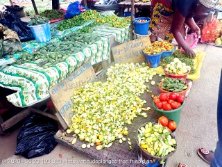 Côte d'Ivoire mardi 11 août 2020 11:05:14 