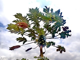 Côte d'Ivoire mardi 11 août 2020 11:12:17 