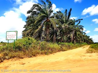 Côte d'Ivoire mercredi 5 août 2020 12:11:28 