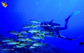 Divers