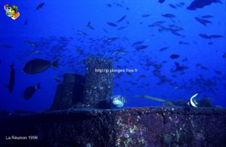 Divers