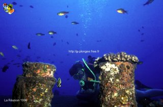 Divers