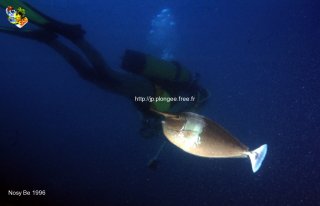 web-nosy-be-ssm-1996-0004