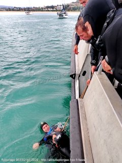 Divers lundi 5 octobre 2020 15:33:30 