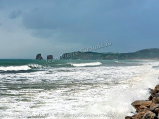 Divers dimanche 4 octobre 2020 18:47:08 