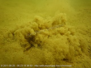 web-p1070282