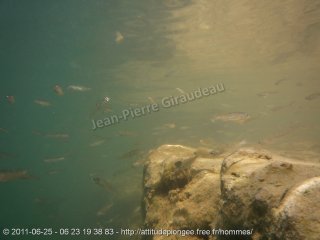 web-p1070289