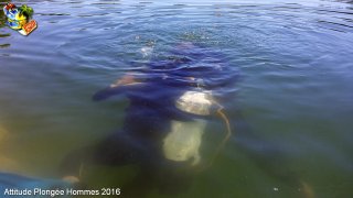 Hommes dimanche 7 août 2016 15:50:21 