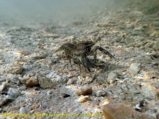 web-p7020038
