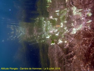 Hommes mardi 9 juillet 2019 19:03:53 