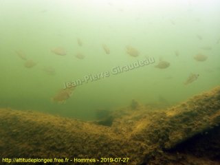 web-p7270029