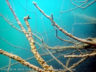 web-p6180079