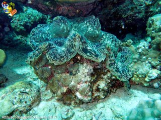 web-koh_lanta-2017-02-23-07h59m40