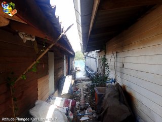 Ko-lanta dimanche 14 février 2016 06:36:25 