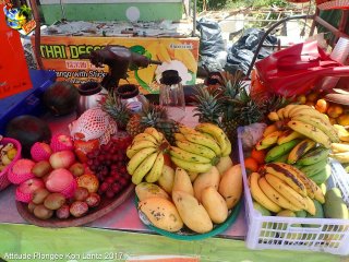 Ko-lanta dimanche 14 février 2016 07:03:05 
