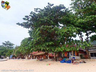 Ko-lanta dimanche 14 février 2016 10:29:24 