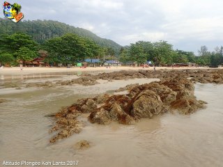 Ko-lanta dimanche 14 février 2016 11:05:25 