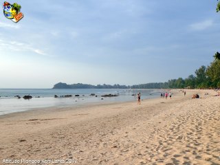 Ko-lanta dimanche 14 février 2016 11:45:33 