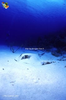 web-little_cayman-2007-ssm-0084