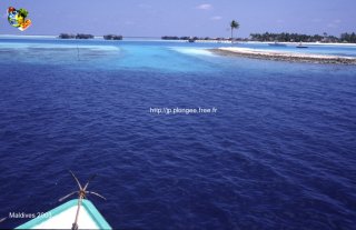 Maldives