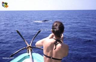 Maldives
