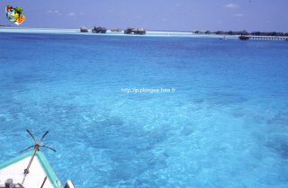 Maldives
