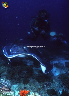 web-maldives-ssm-2006-0286