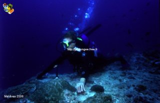 Maldives