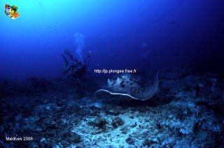 Maldives