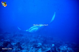 Maldives