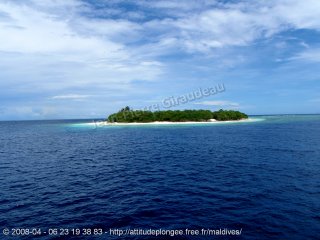 Maldives dimanche 13 avril 2008 11:18:12 