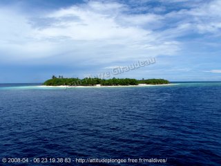 Maldives dimanche 13 avril 2008 11:18:38 
