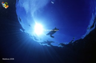 Maldives
